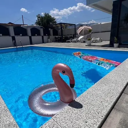 White House Paradise *